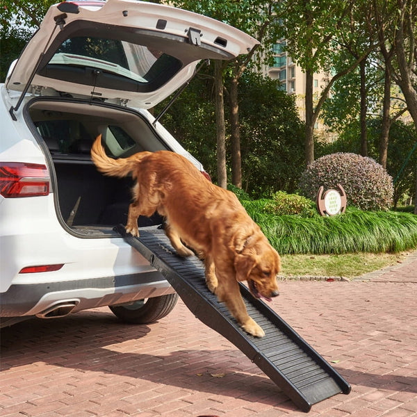 Sulankstoma rampa šuniui į automobilį 152 cm A85