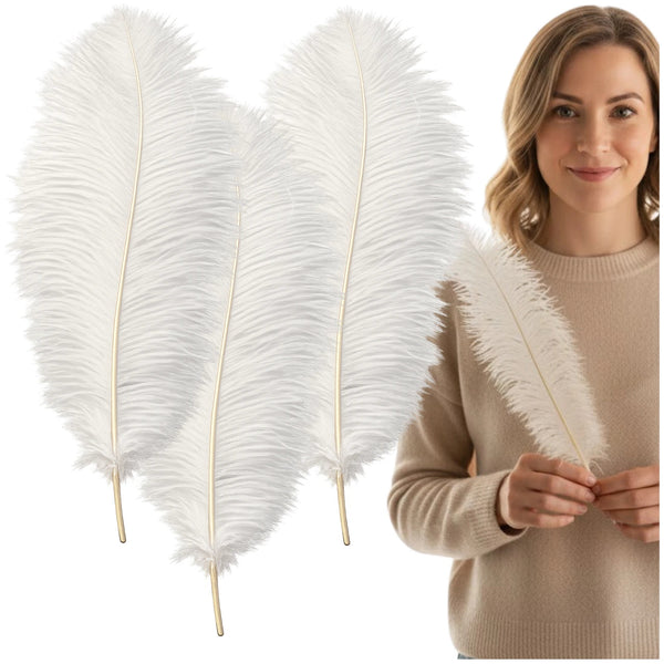 Natūralios baltos stručio plunksnos 35–40 cm, 3 vnt. N80