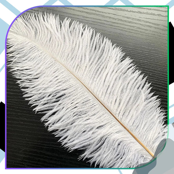 Natūralios baltos stručio plunksnos 35–40 cm, 3 vnt. N80