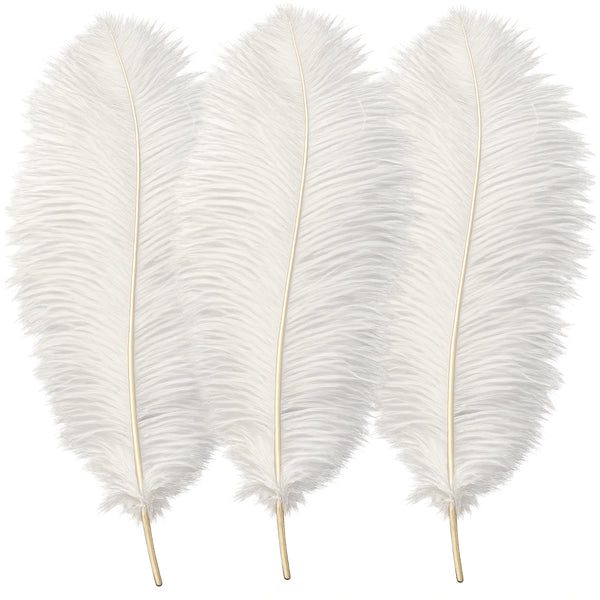 Natūralios baltos stručio plunksnos 35–40 cm, 3 vnt. N80