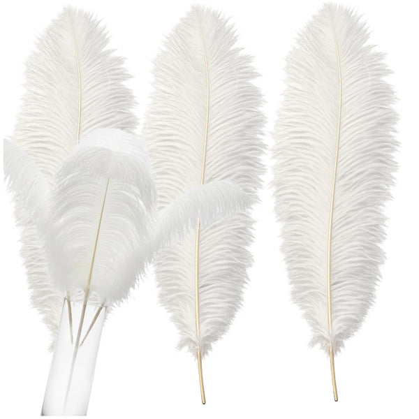 Natūralios baltos stručio plunksnos 35–40 cm, 3 vnt. N80