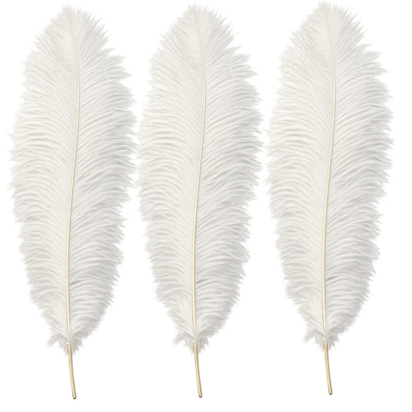 Natūralios baltos stručio plunksnos 35–40 cm, 3 vnt. N80