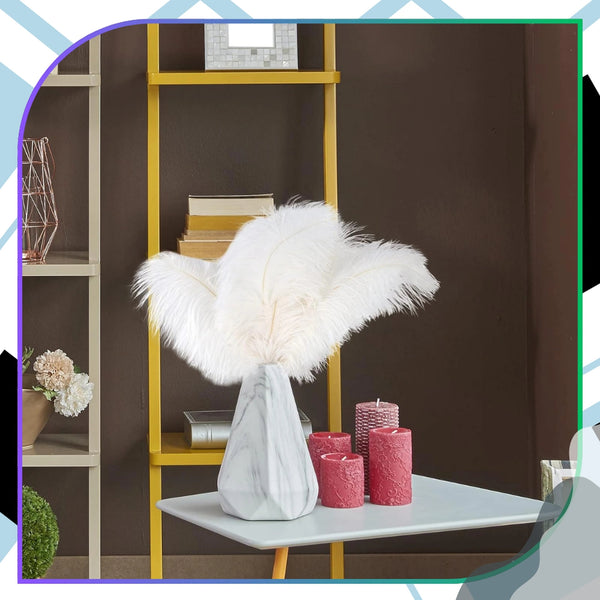 Natūralios baltos stručio plunksnos 35–40 cm, 3 vnt. N80