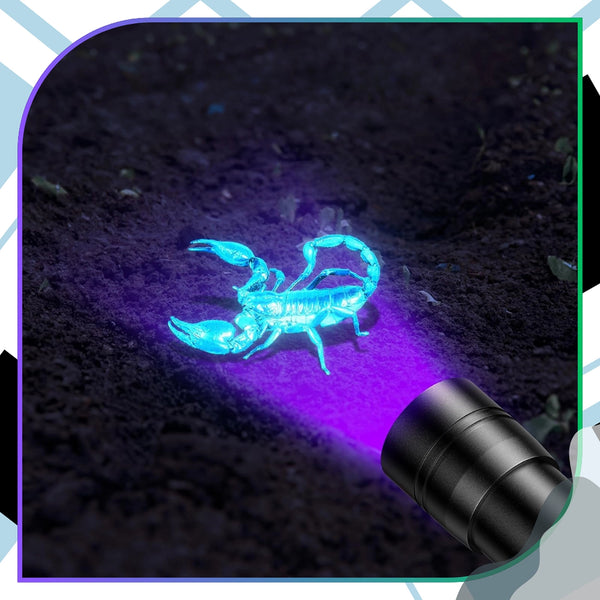 UV LED žibintuvėlis juodas aliuminis 395 nm Z9