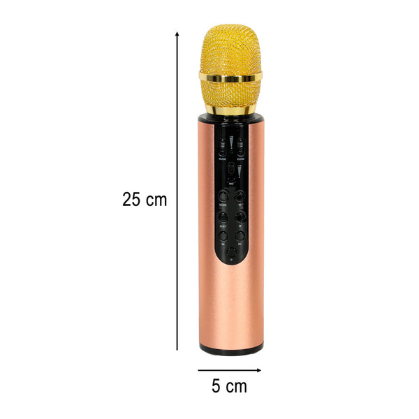 Belaidis karaoke mikrofonas vaikams su „Bluetooth“ garsiakalbiu, 2000 mAh, SD kortelė, USB, auksinis M20