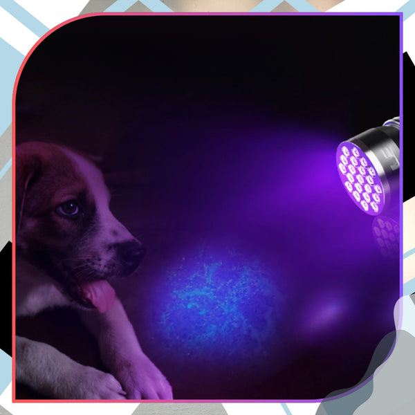 Mini UV žibintuvėlis juodas aliuminis 21 LED Z1