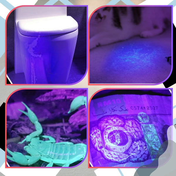 Mini UV žibintuvėlis juodas aliuminis 21 LED Z1