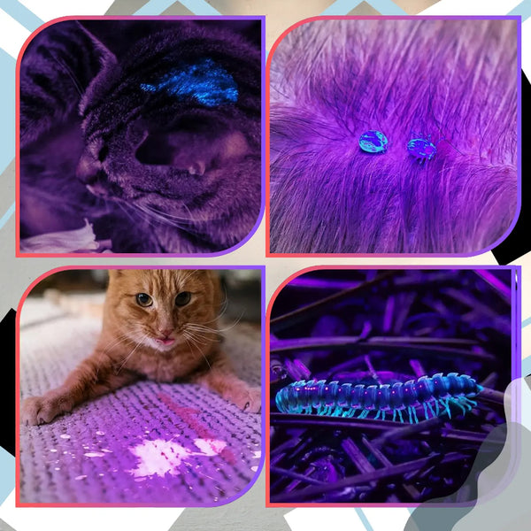 Mini UV žibintuvėlis juodas aliuminis 21 LED Z1