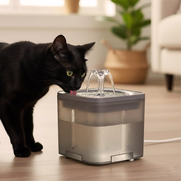 Automatinė gertuvė-fontanas šunims ir katėms, USB, 2 l, su valymo filtru M41