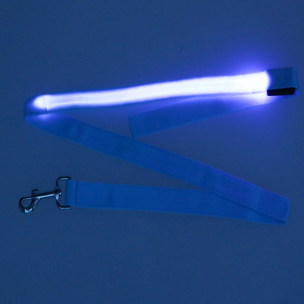 Šviečiantis LED pavadėlis šuniui ar katei 1,2m, mėlynas M35