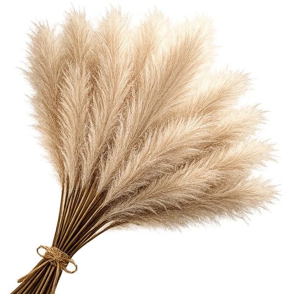 Dirbtinė kreminė pampų žolė 56,5 cm, 20 vnt. N92